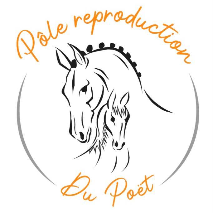 logo pole reproduction domaine equestre du poet
