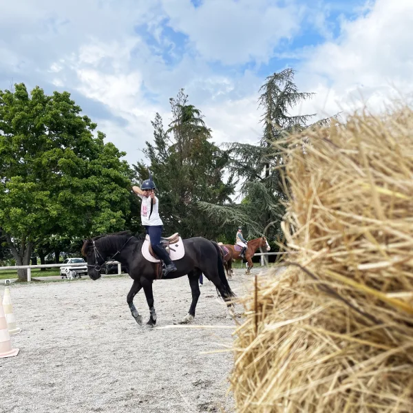 stage tir a l'arc a cheval domaine equestre du poet