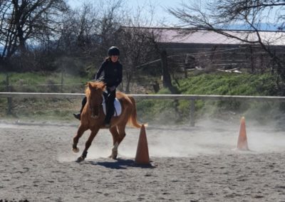 jeux à poney