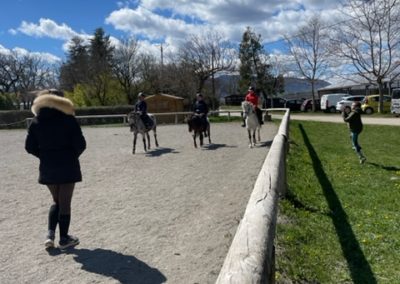 cour poney du mercredi