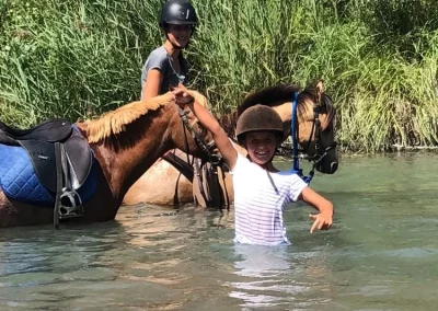 baignade chevaux domaine equestre du poet