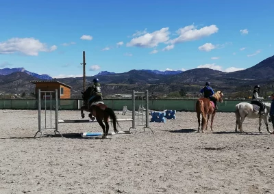 saut d'obstacle domaine equestre du poet