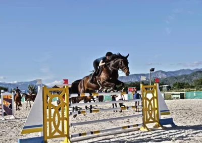 concours saut domaine equestre du poet