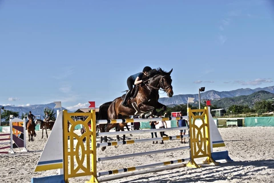 concours saut domaine equestre du poet