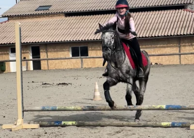 saut cours poney domaine equestre du poet