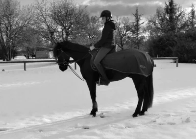 dressage neige domaine equestre du poet