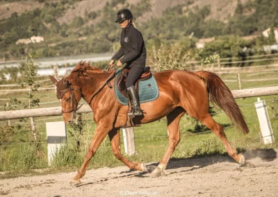 travail plat domaine equestre du poet