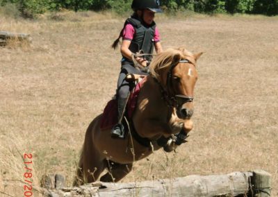 cross cce domaine equestre du poet
