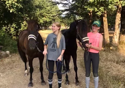 poneys et cavalières