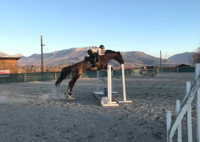 obstacle entrainement domaine equestre du poet