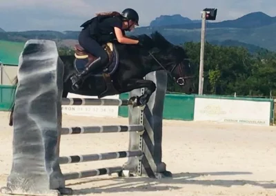 poney tda domaine equestre du poet cso