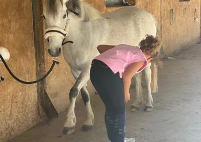 abana poney pour enfant domaine equestre du poët