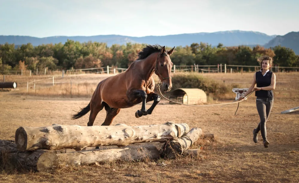 equifeel domaine equestre du poet cross equifeel travail a pied domane equestre du poet