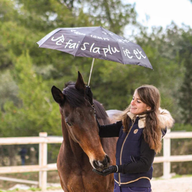 travail a pied domaine equestre du poet horsewomanship