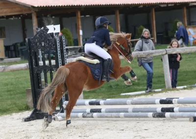 noddy poney cso cce domaine equestre du poet