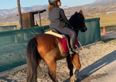 prao cours poney domaine equestre du poet