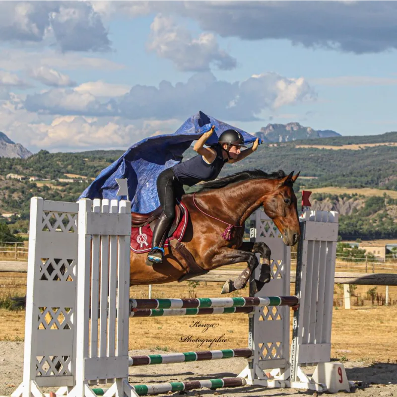 horsewomanship domaine equestre du poet