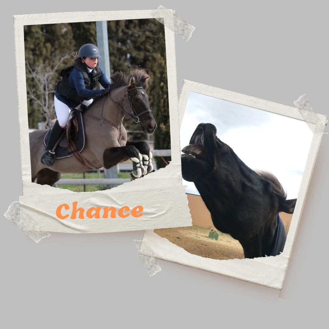 chance poney club le poet