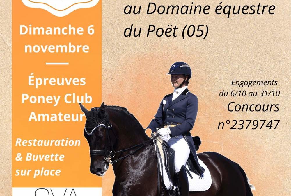 Concours de dressage