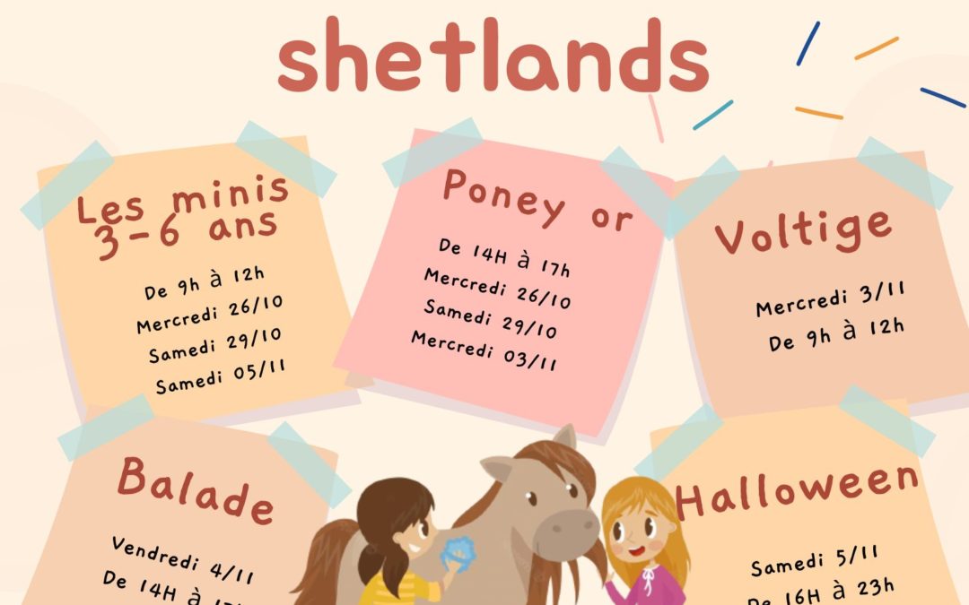 stages vacances d’automne (shetlands-poneys)