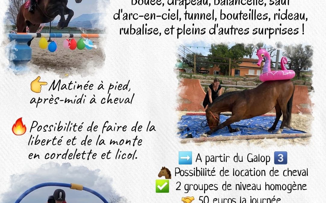 Journée d’embûches avec Alizéa