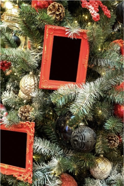 Sapin à souvenirs partagés