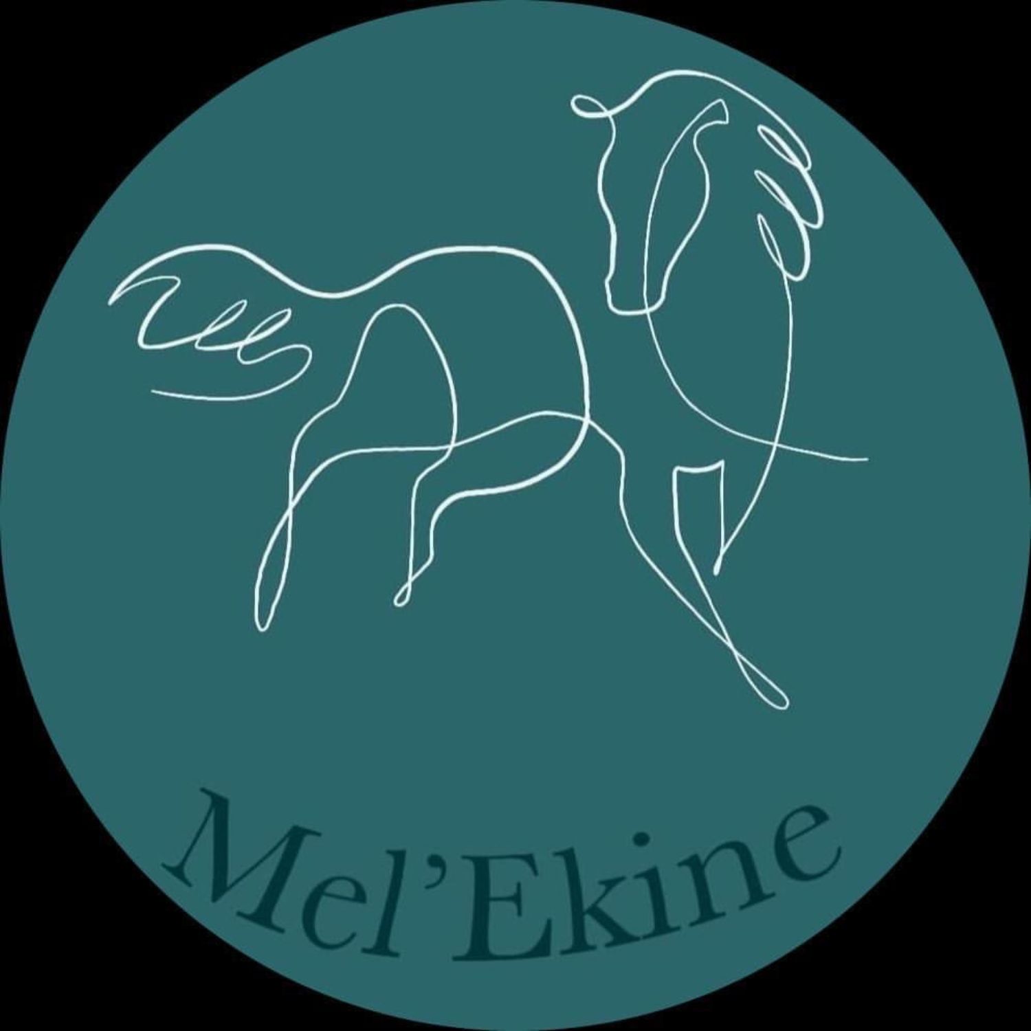Mel ekine masseuse équin soutient le domaine équestre du poët 05 Melekine sisteron le poet