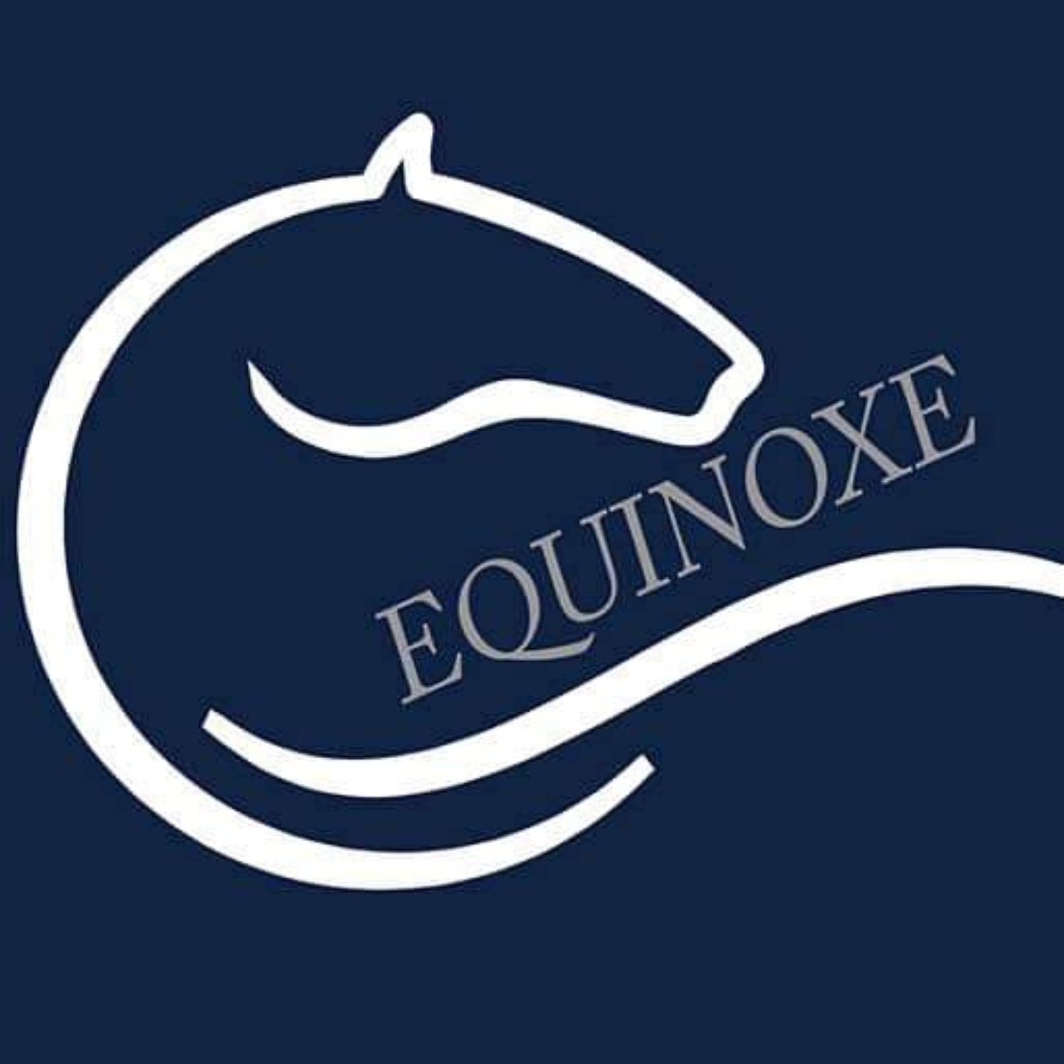 sellerie equinoxe stand domaine équestre du poët équinoxe sellerie dedp 05