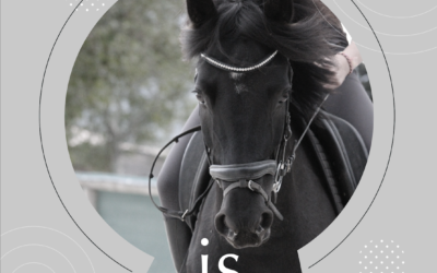 Concours de Dressage Indoor