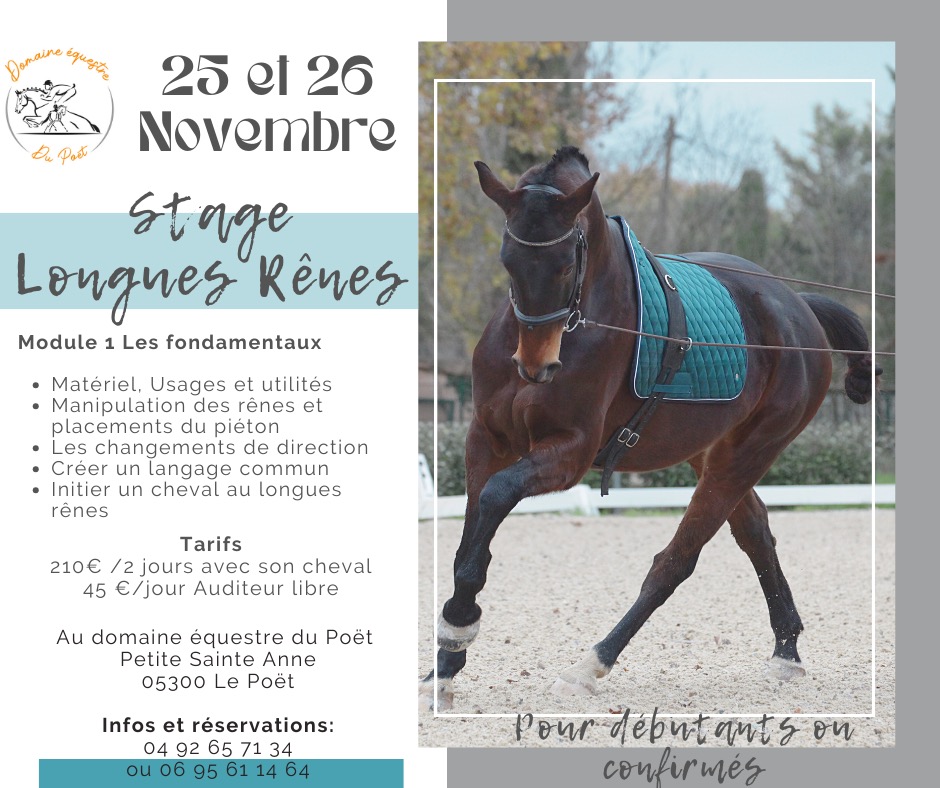 stage longues rênes zoé san martin