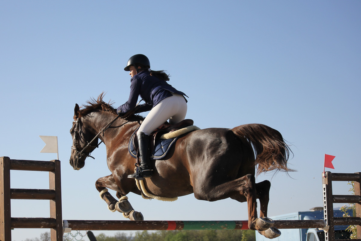 poney club dedp-9