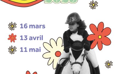 CSO Trophée spring jump finale